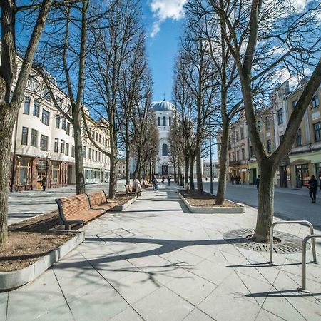 Deluxe Apartments By Hostlovers Kaunas Exterior photo
